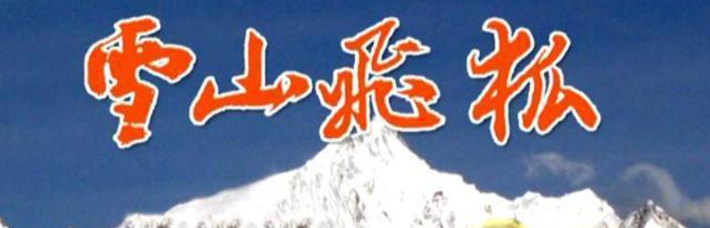 The Flying Fox Of The Snowy Mountain