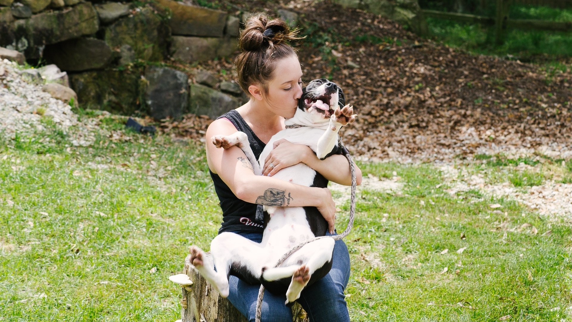Pit Bulls and Parolees