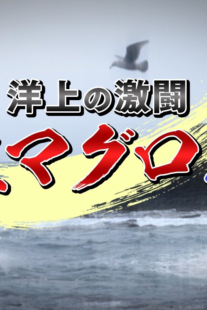 洋上の激闘！巨大マグロ戦争