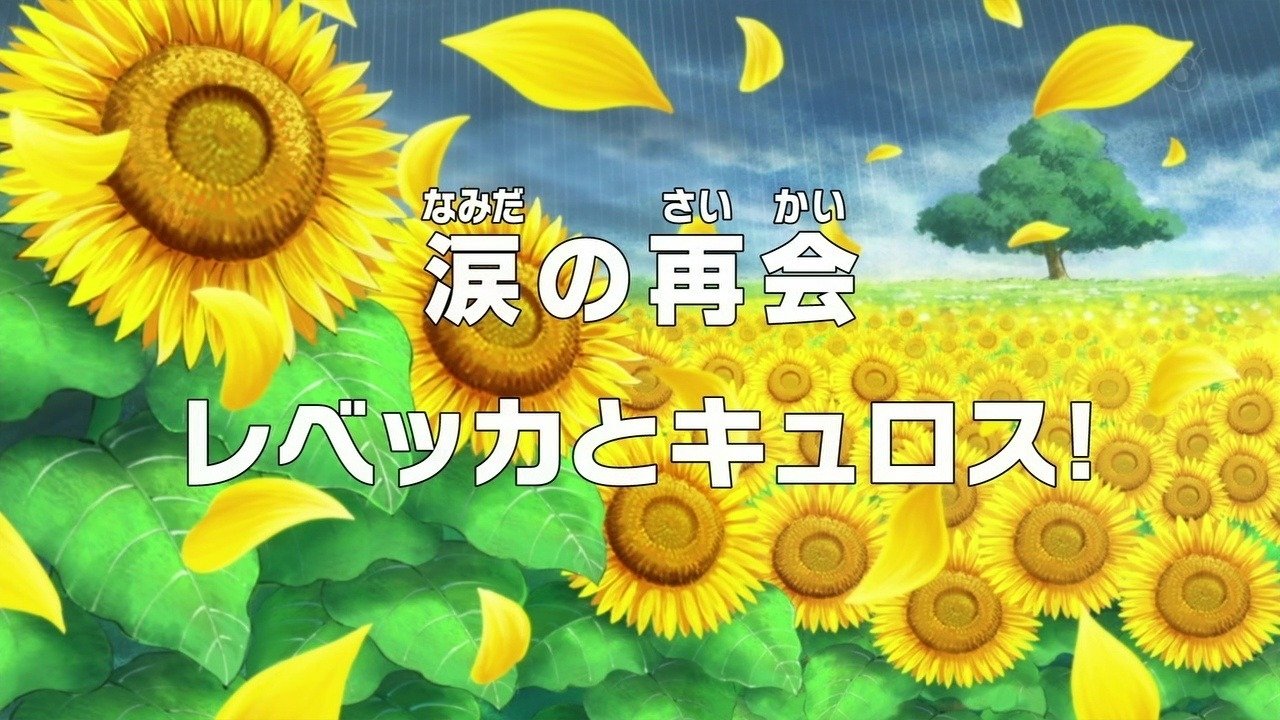 涙の再会 レベッカとキュロス！