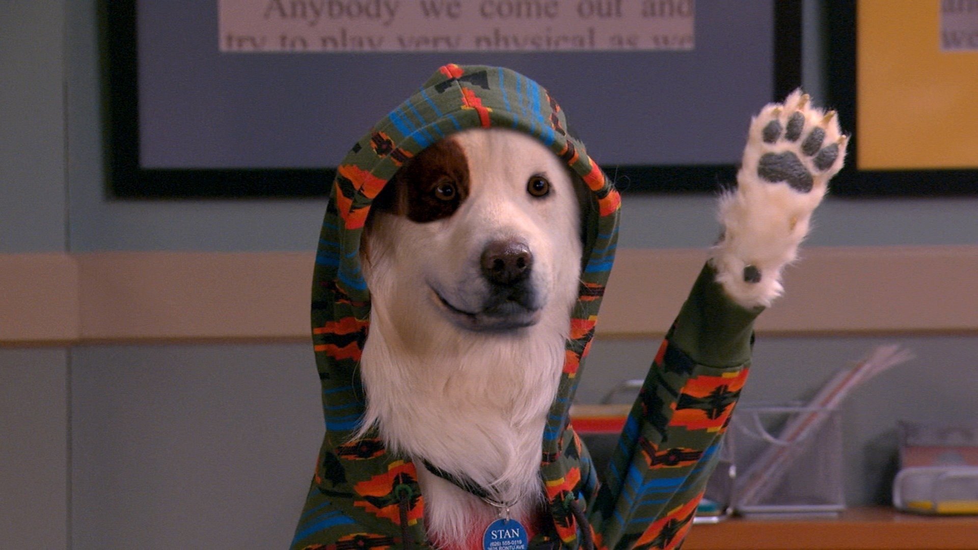 Dog with a Blog