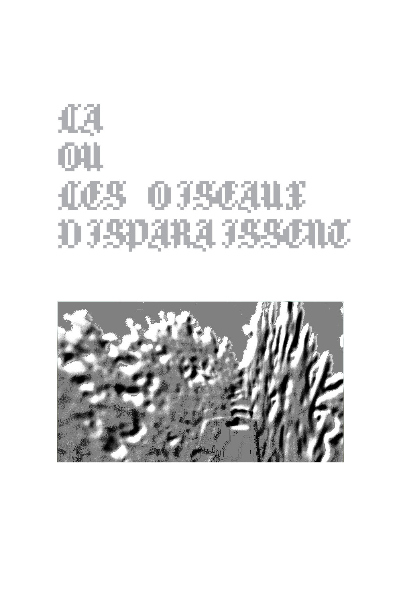 Là où les oiseaux disparaissent