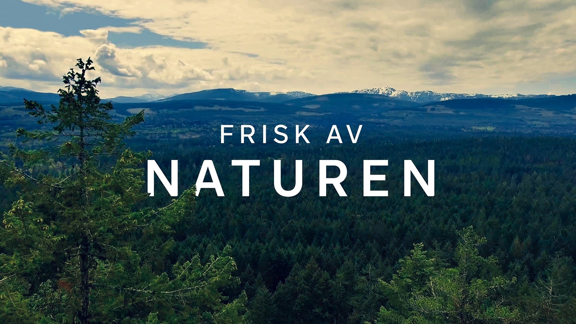 Vetenskapens värld