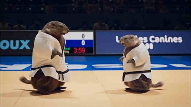 Les Marmottes - Judo