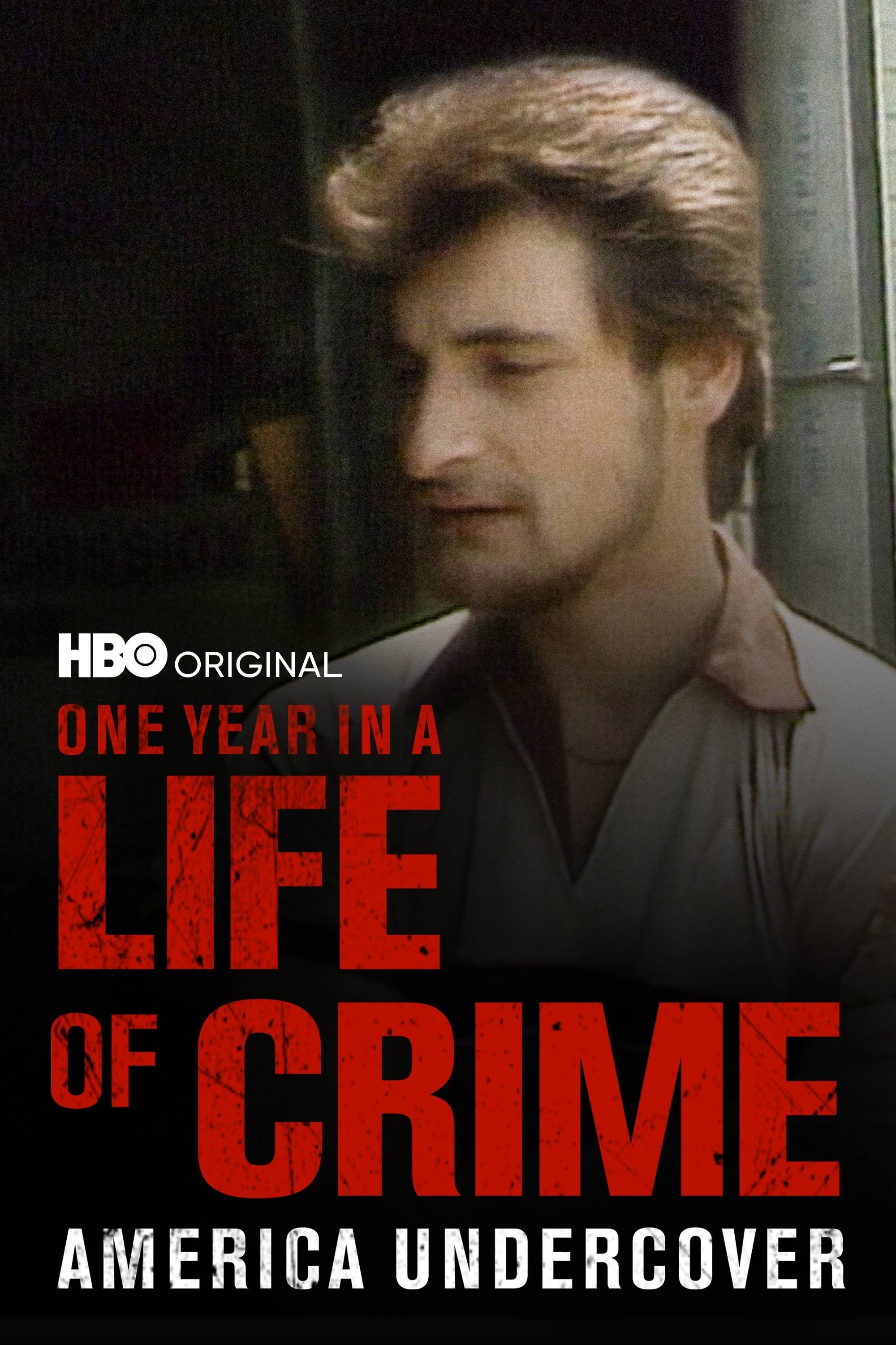 One Year in a Life of Crime