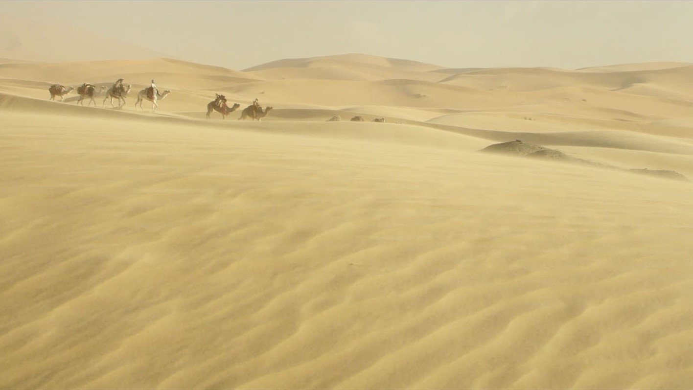 Queen of the Desert (2015)