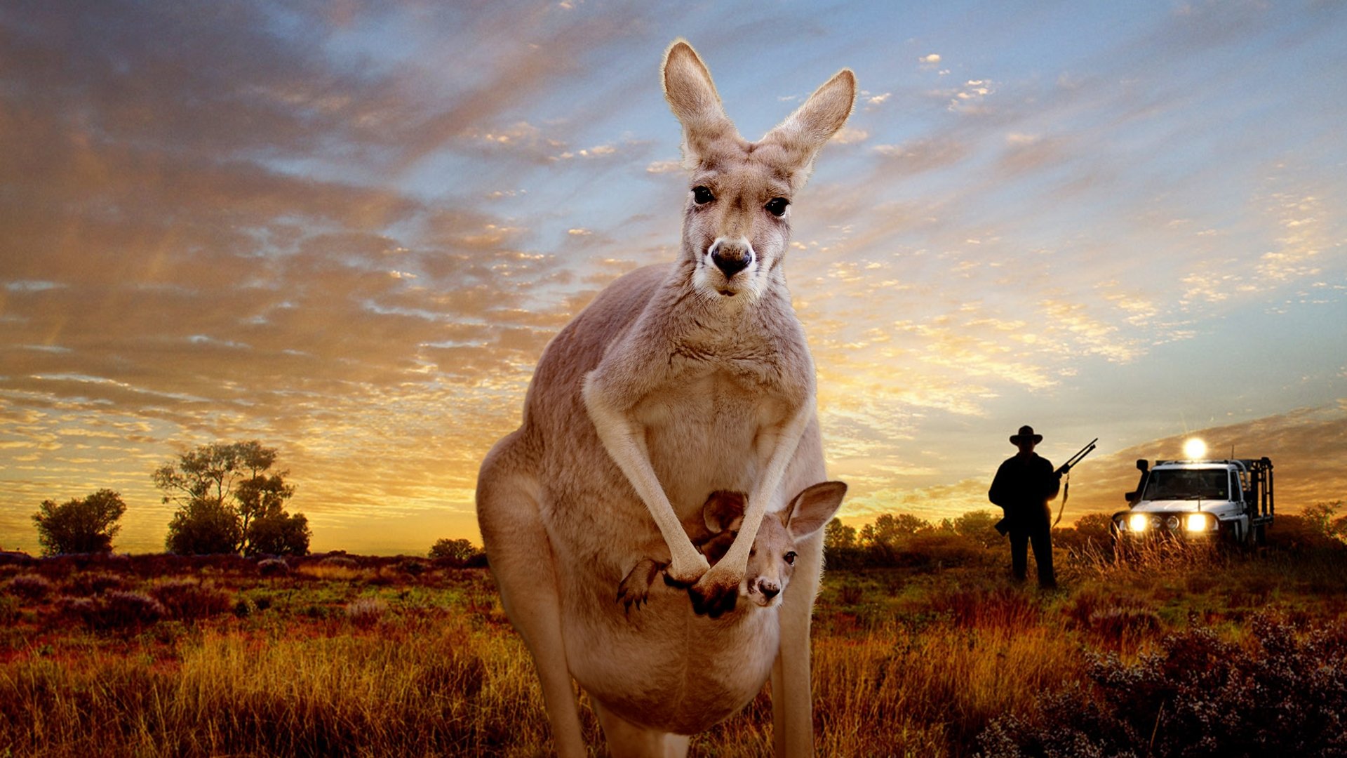 Kangaroo: A Love-Hate Story (2018)