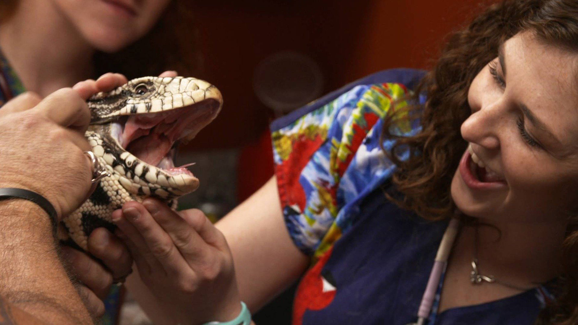 Dr. K's Exotic Animal ER S03E05 backdrop