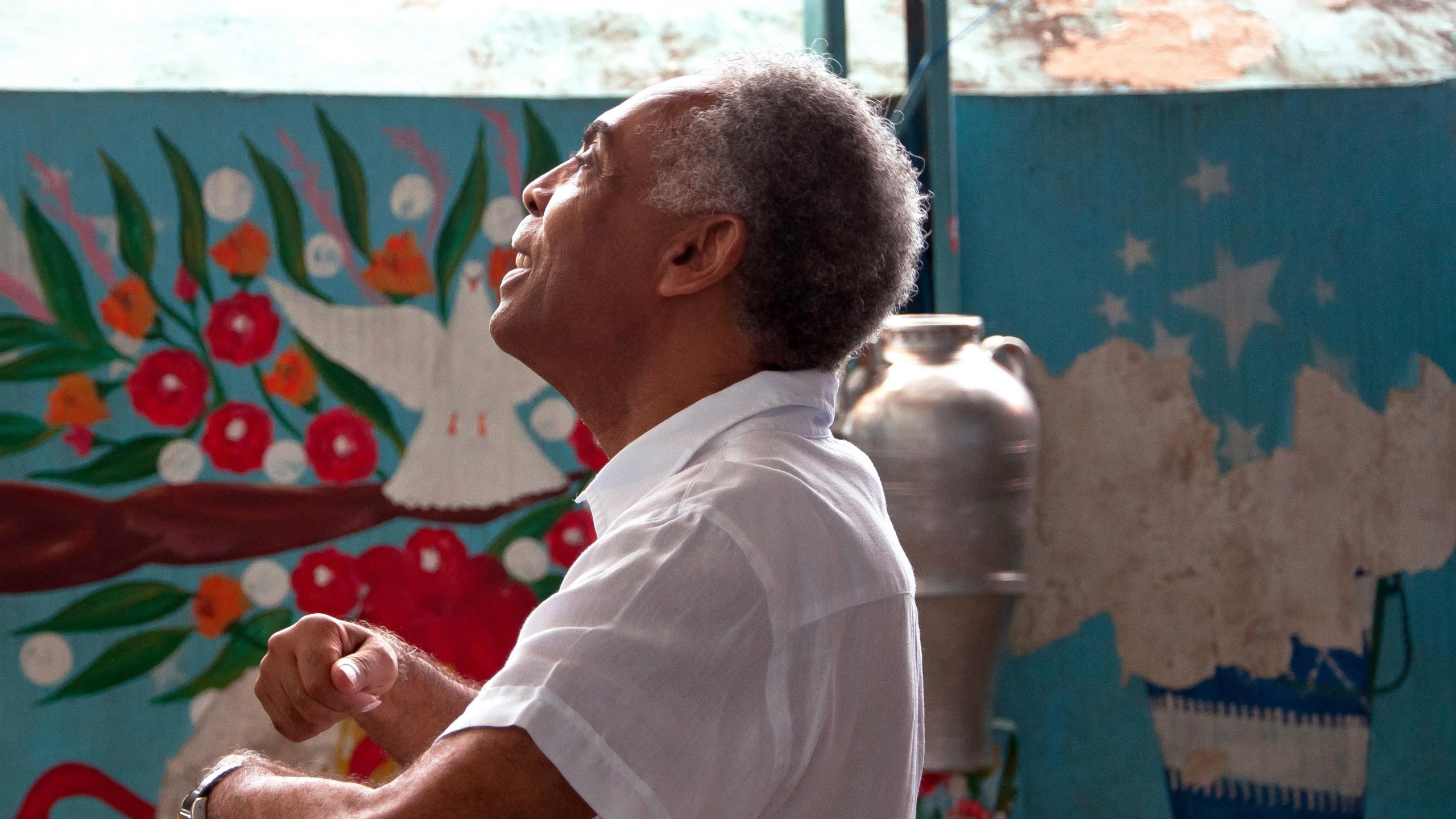 Viramundo (2013)