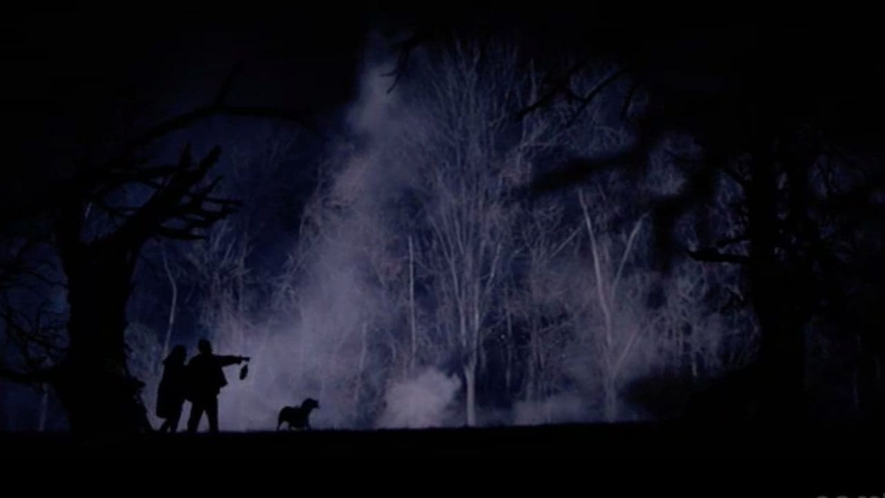 The Hollow Tree (2008)