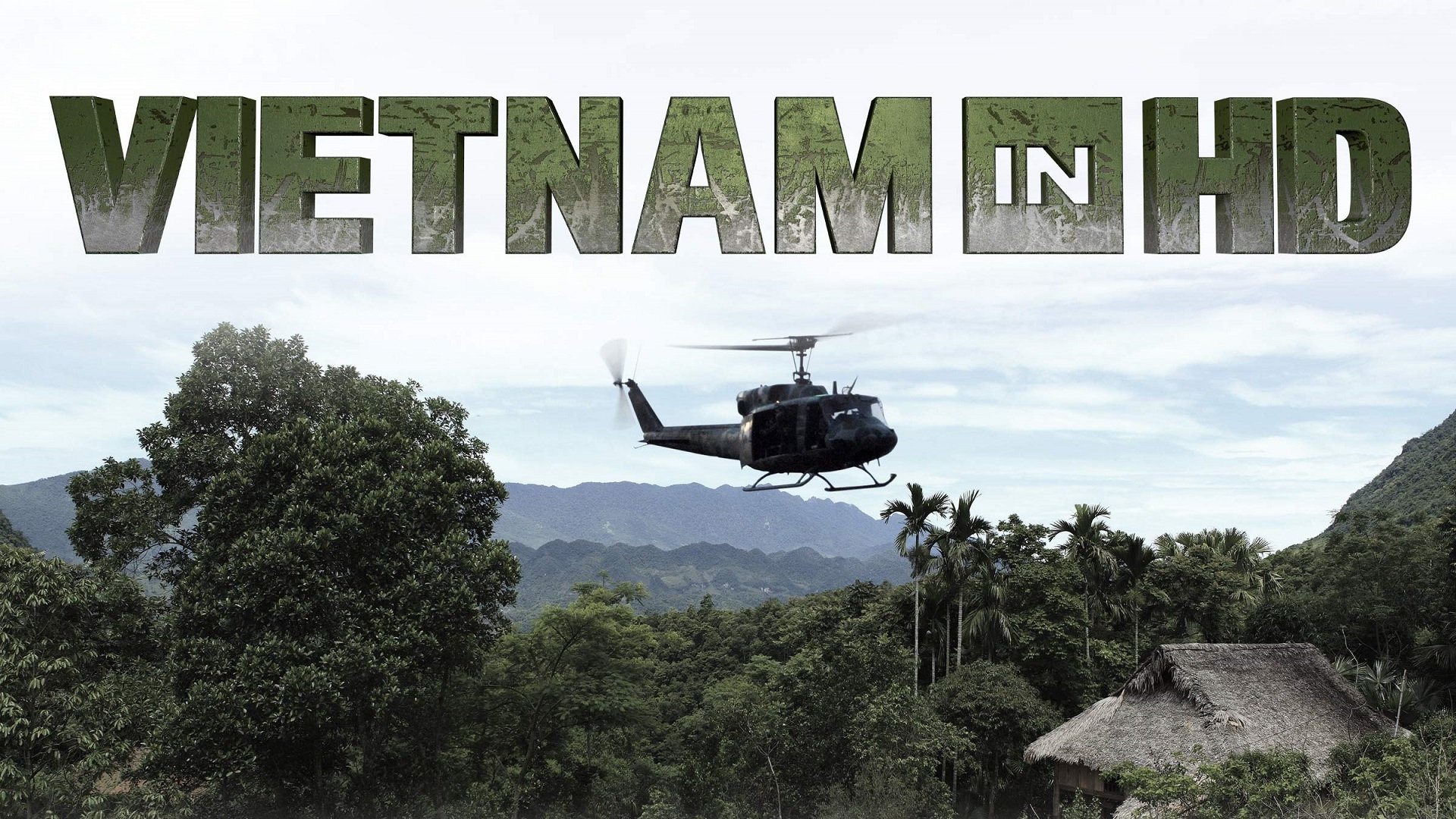 Vietnam in HD (2011)