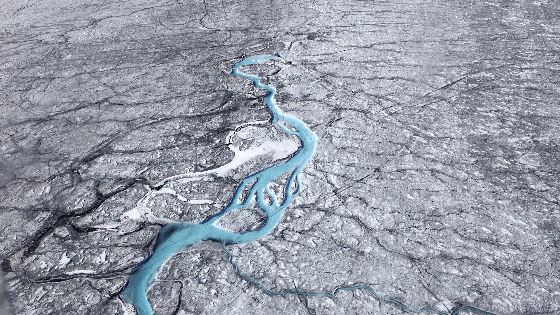 The Making of Frozen Planet II