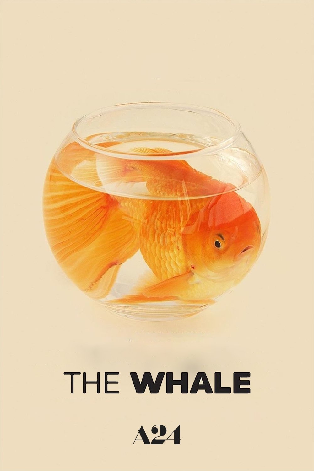 The Whale