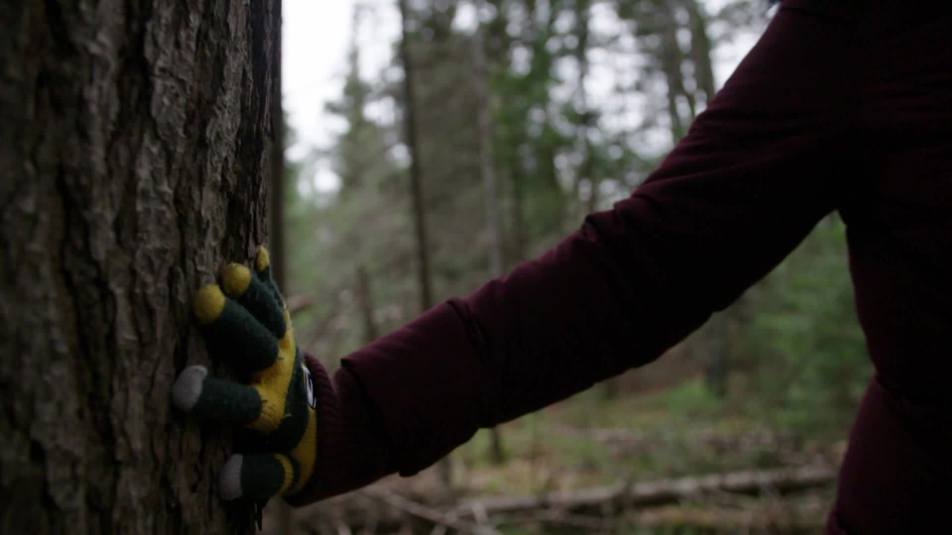 A Killer's Mistake S02E08 backdrop