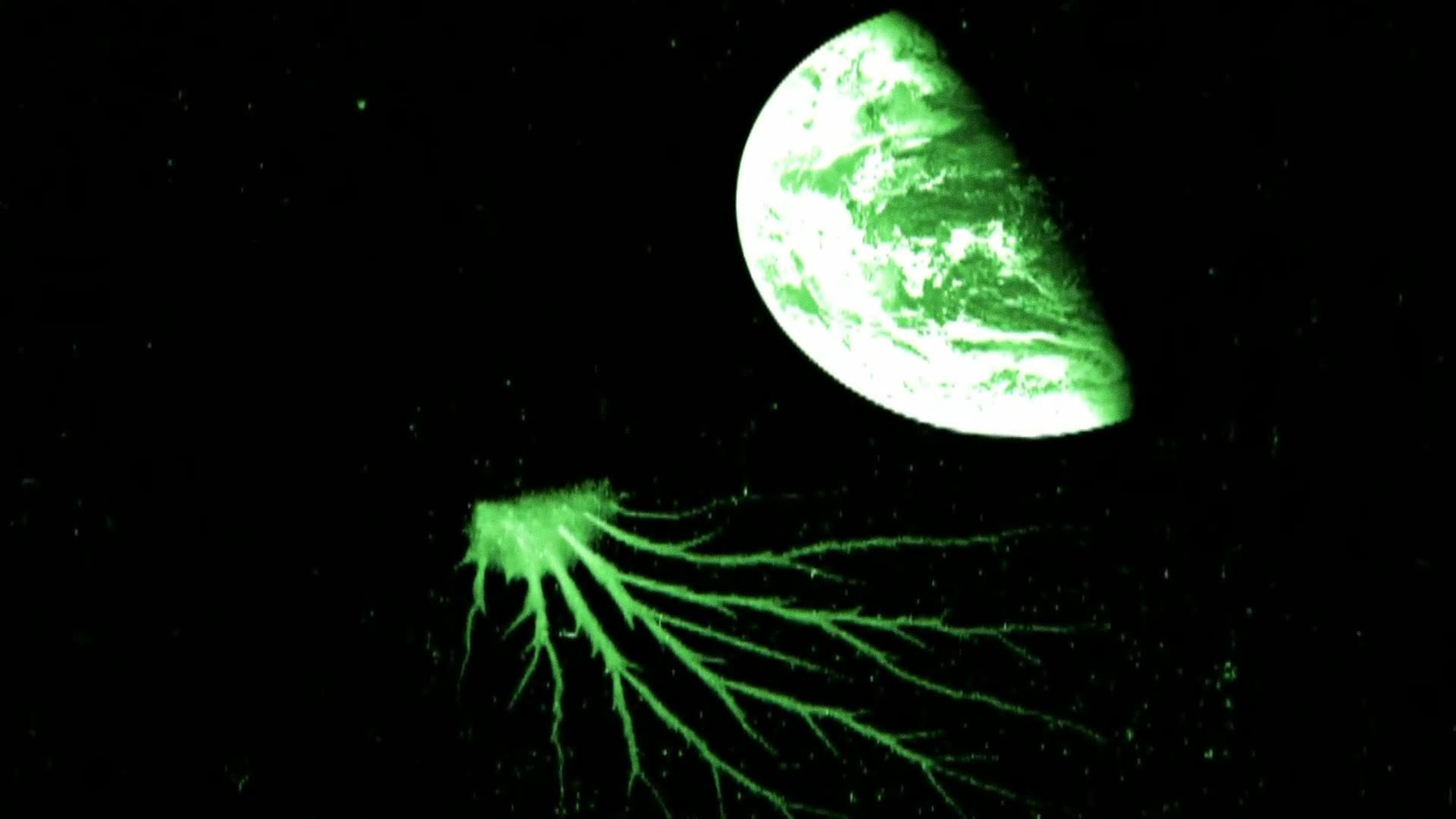 Thumbnail for Mystery Space Squid Season 1 Episode 7
