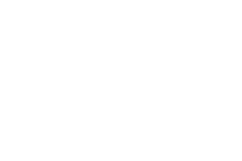 Gray Shelter Logo