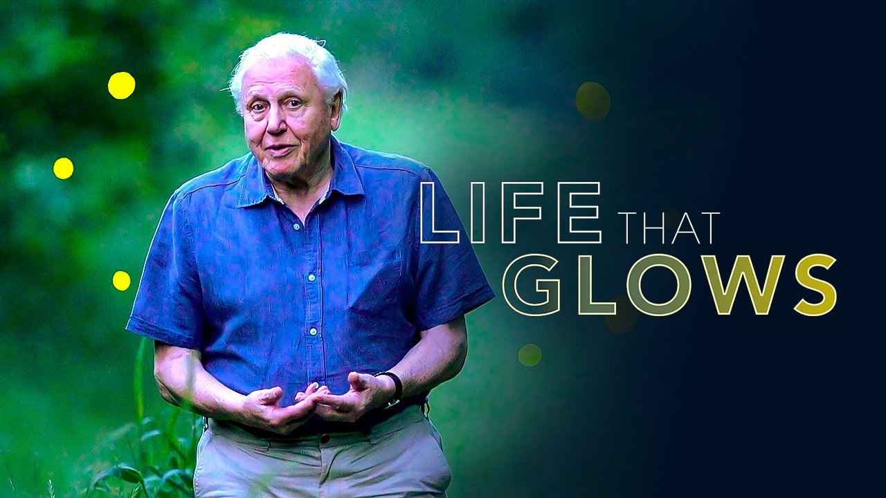 Attenborough's Life That Glows