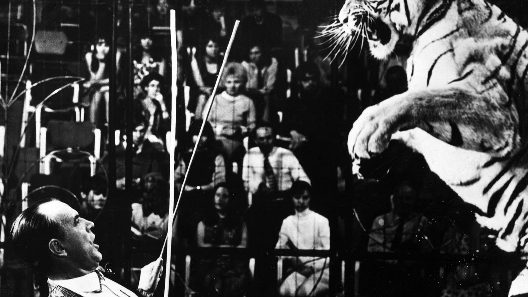 The Adventures of the Yellow Suitcase