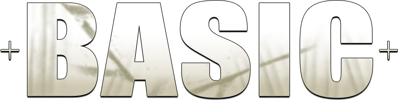 Basic Logo