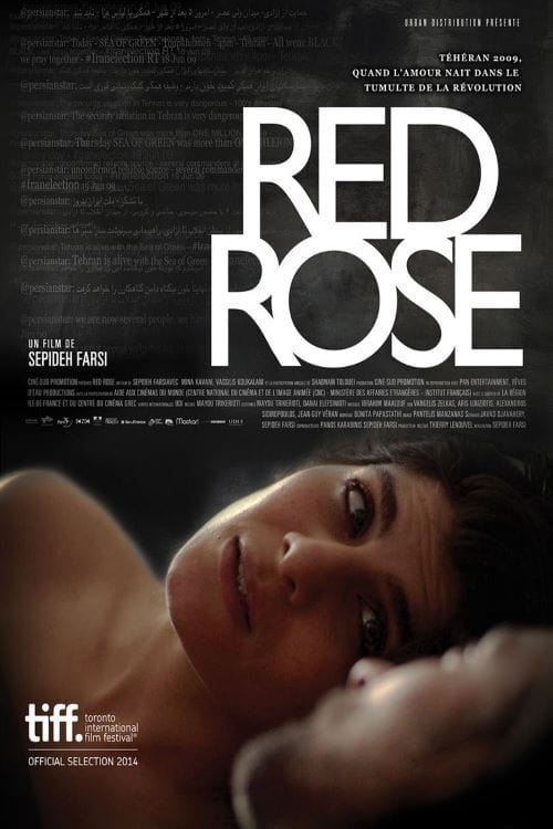 Affiche du film Red Rose 9230