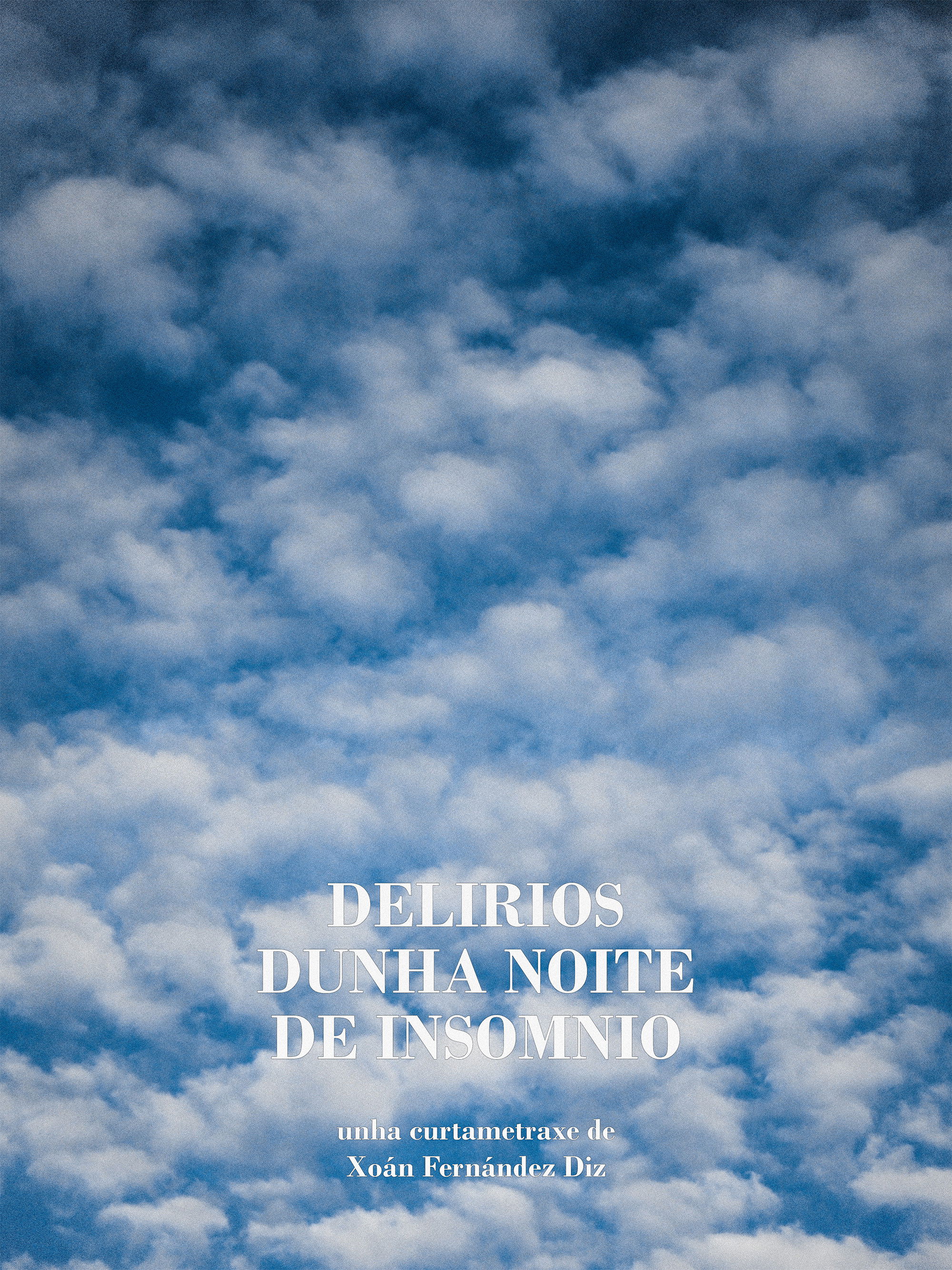 Delirios dunha noite de insomnio poster