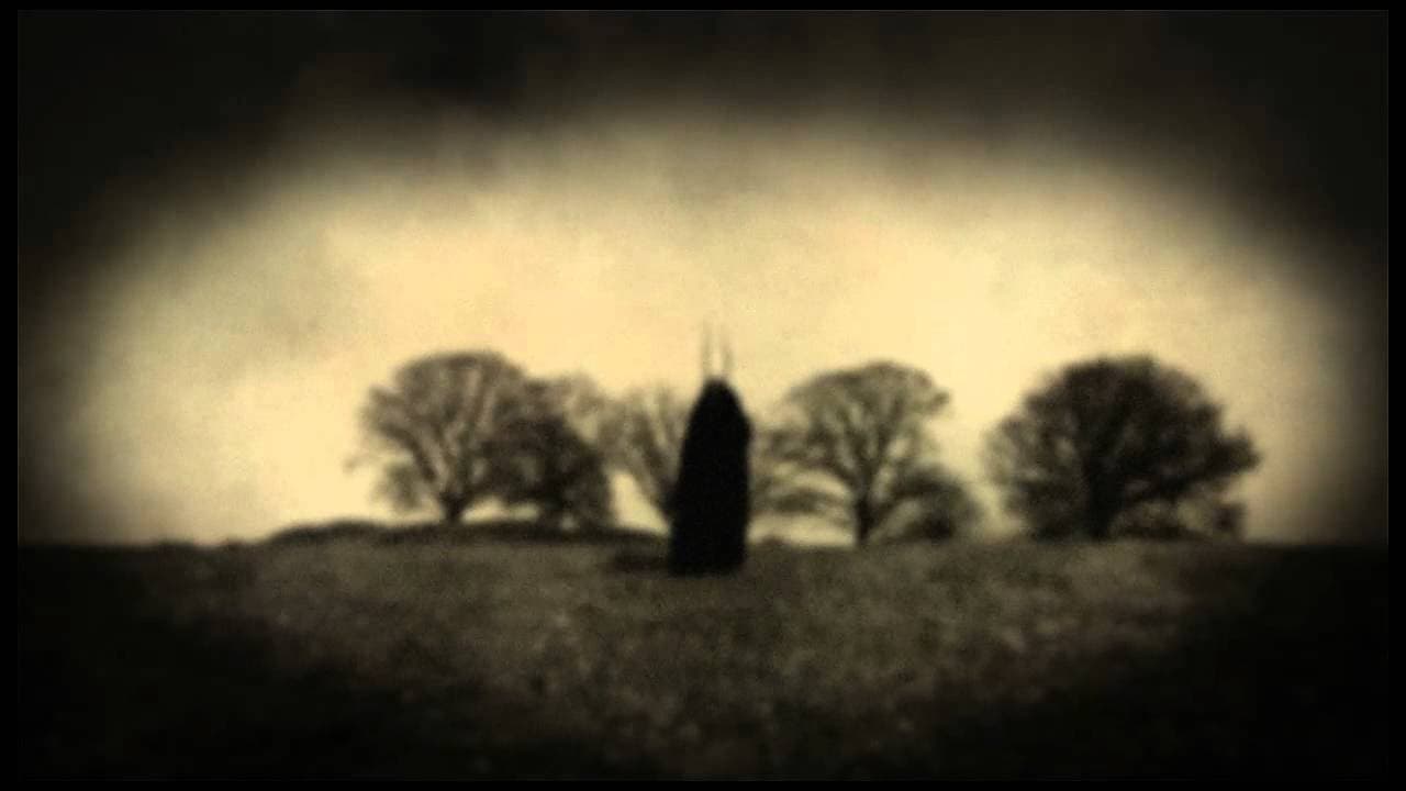 Steven Wilson: Grace for Drowning (2011)