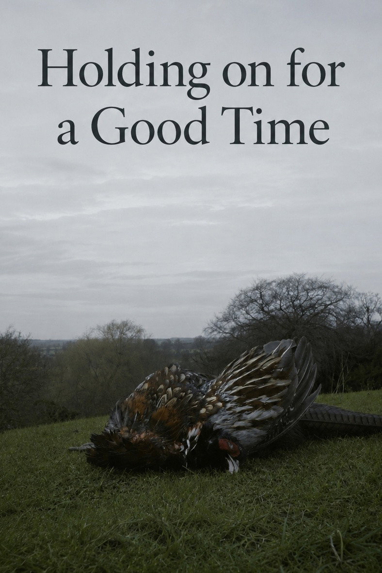 Holding on for a Good Time Poster