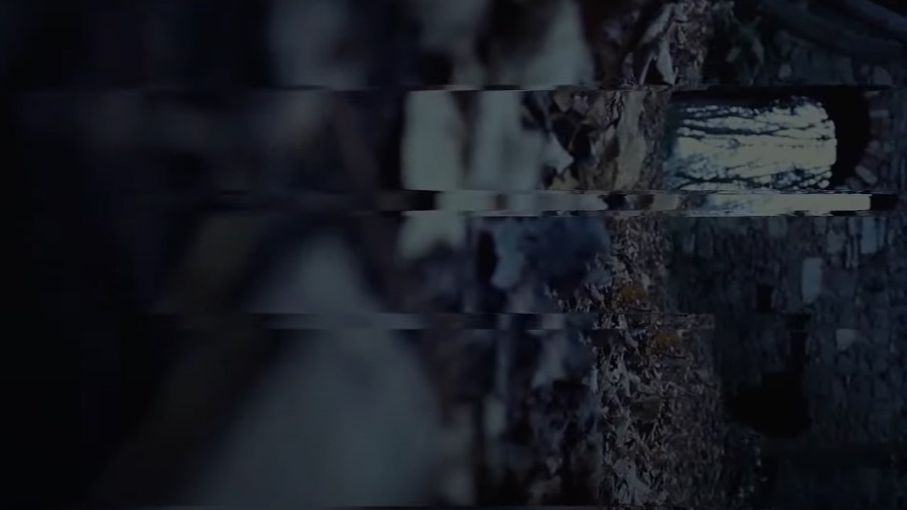Lost Bet (2015)
