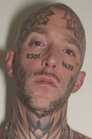 et billede af InkedBrln