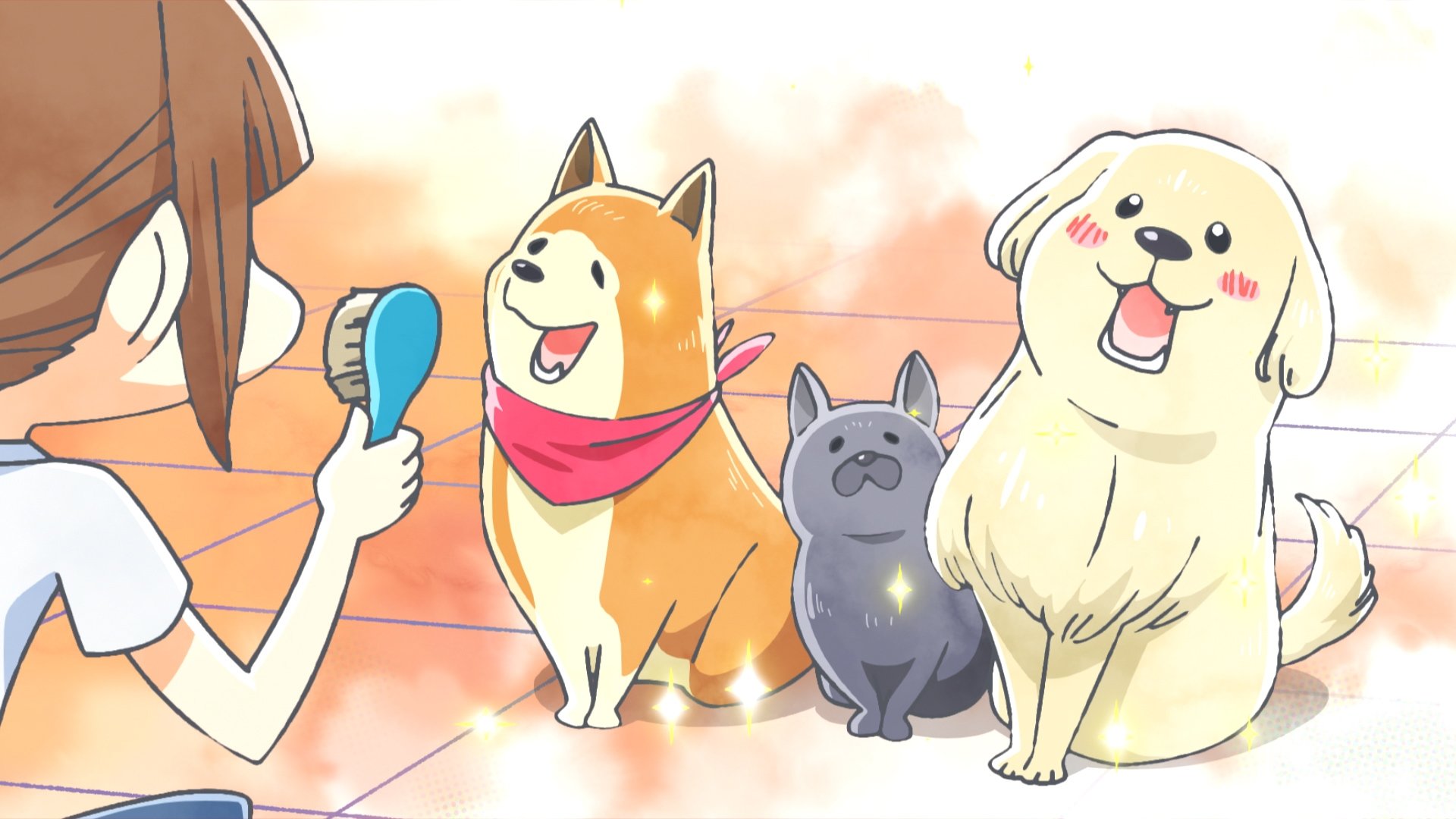 Thumbnail for Volunteer Season 1 Episode 13