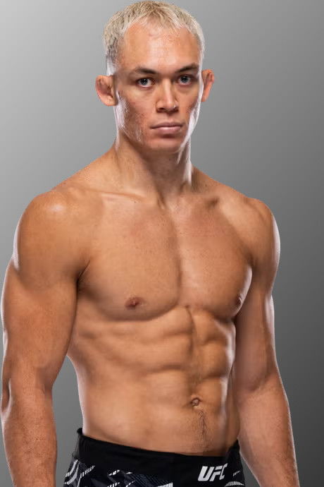 et billede af Navajo Stirling