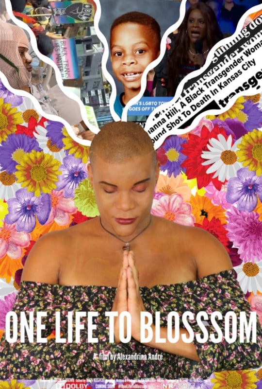 One Life to Blossom on FREECABLE TV