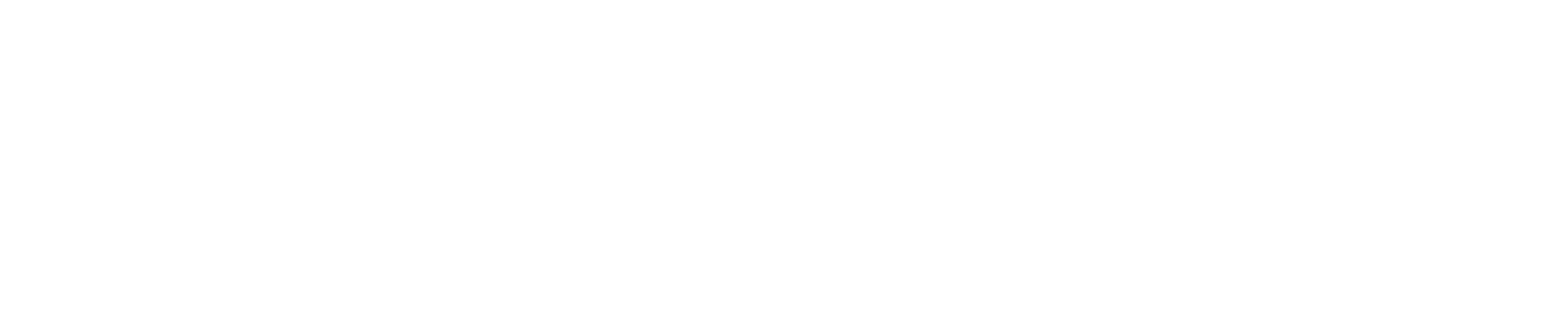 The Namesake Logo