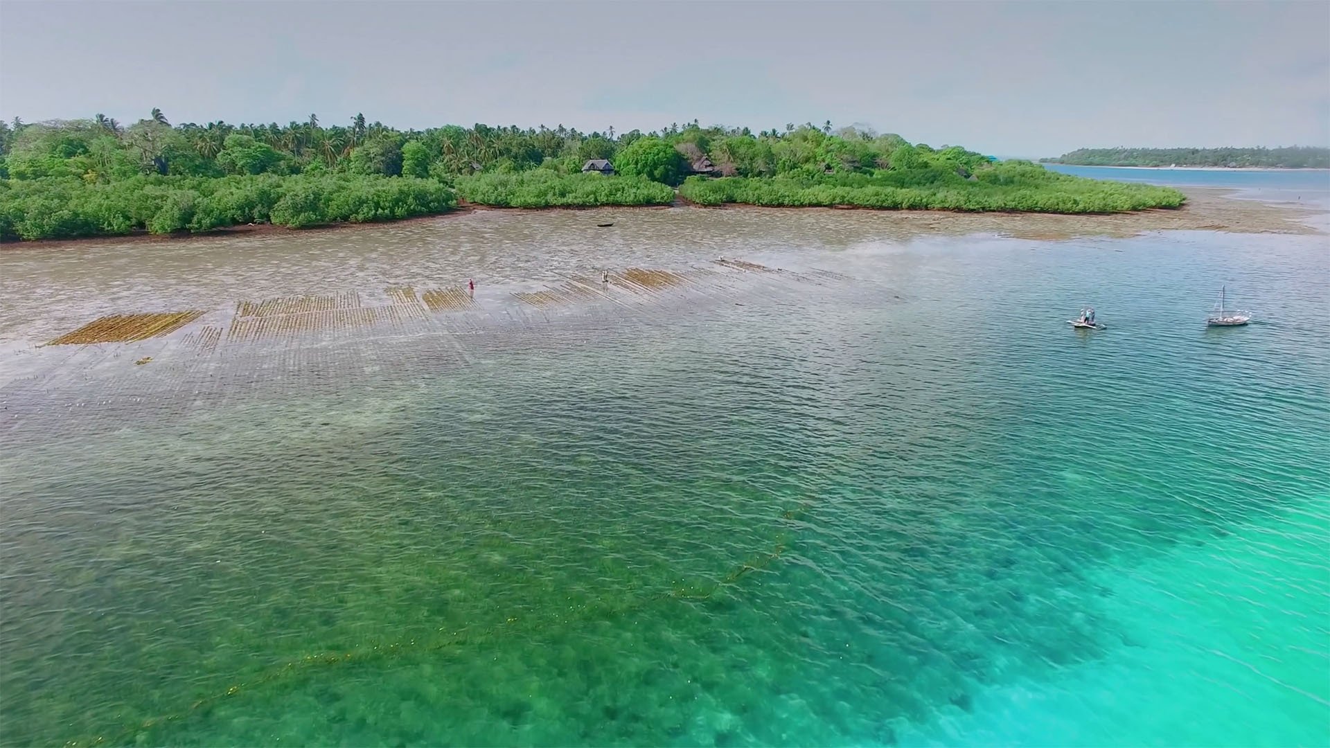 Thumbnail for Mafia Island - Uncharted Paradise Season 1 Episode 3