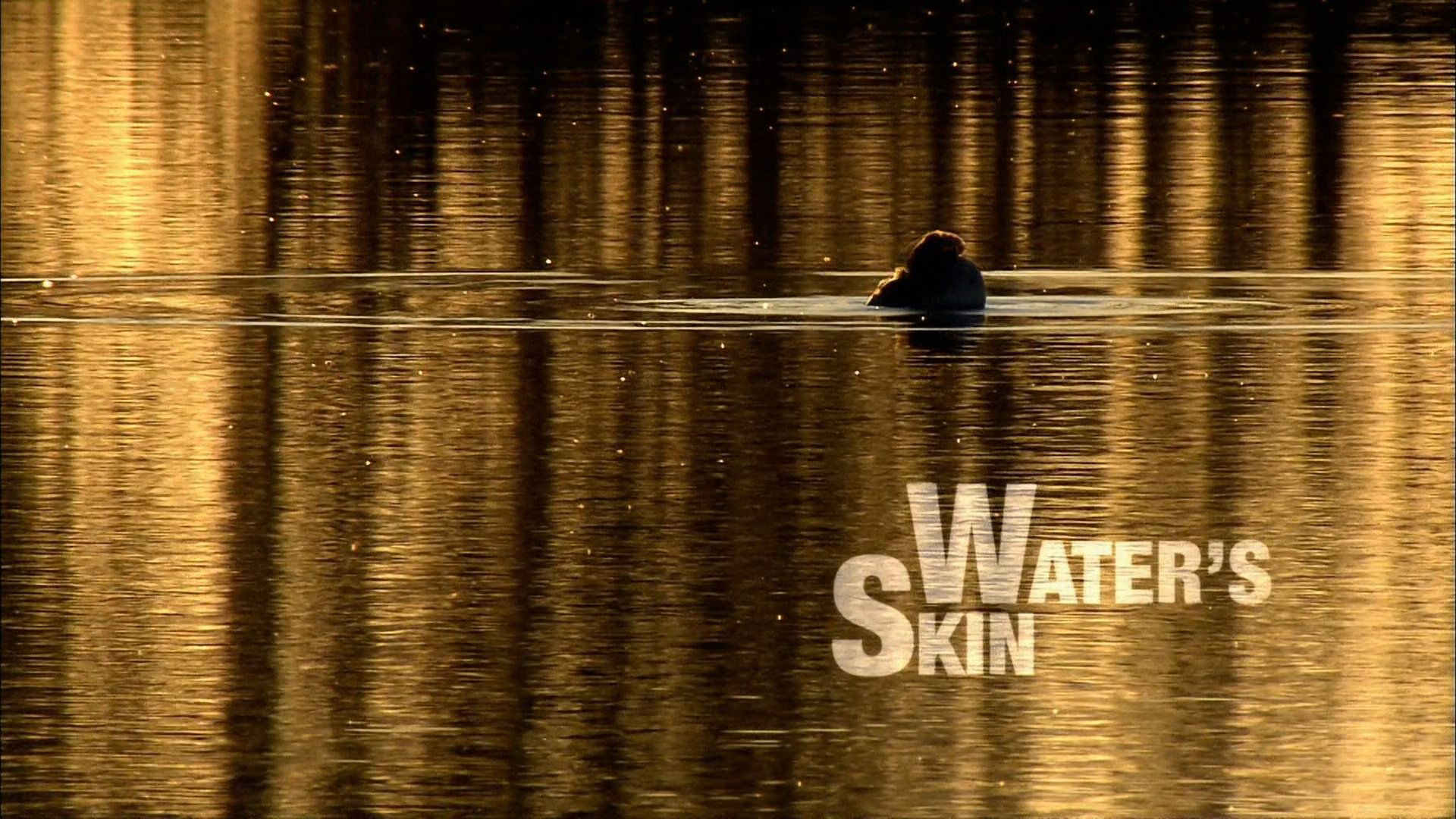 Thumbnail for Water's Skin Season 1 Episode 9
