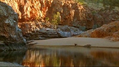 Mundo Natural 24x10