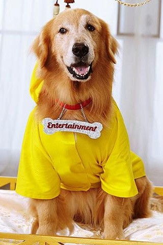 et billede af Junior