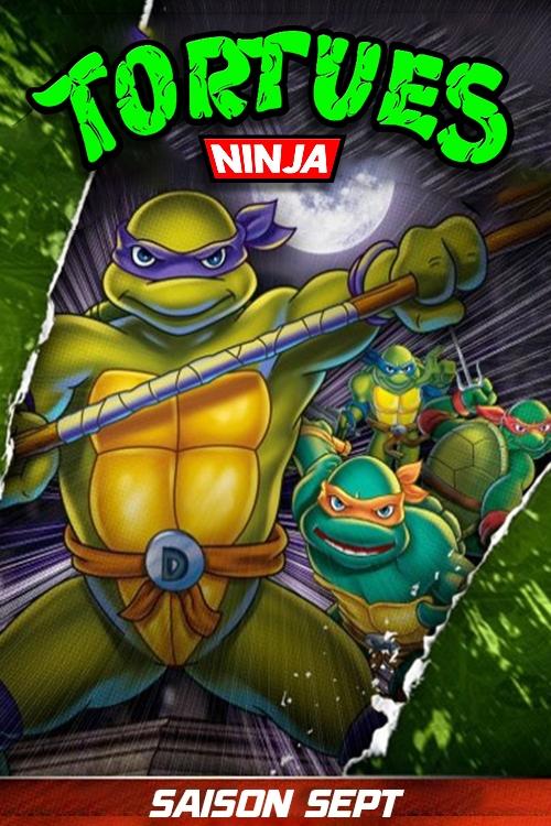 Artwork de la saison 1 de Les Tortues Ninja : Les Chevaliers d'écaille