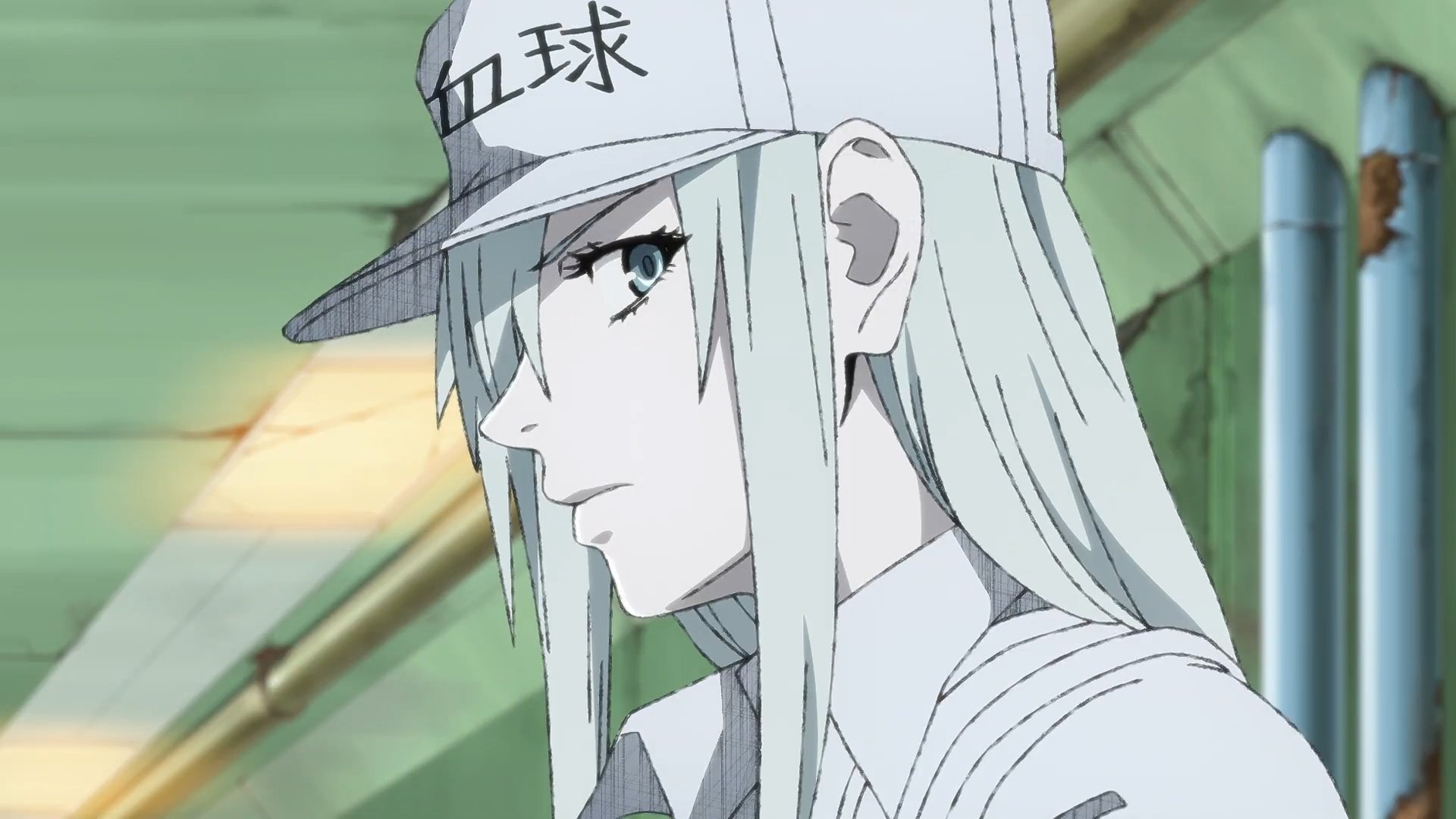 Assistir Hataraku Saibou Episódio 6 Online - Animes BR