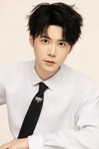 et billede af 黄皓