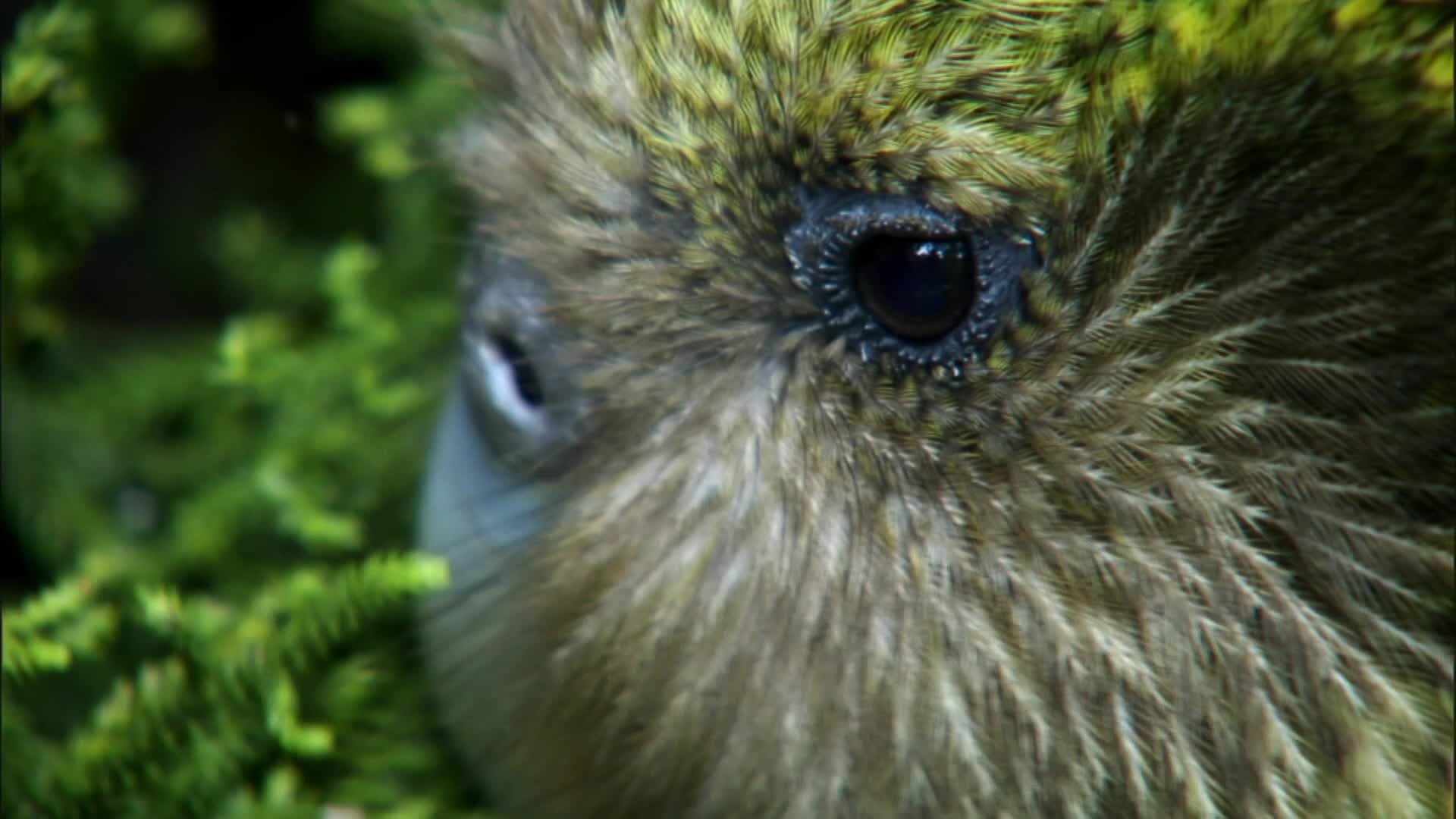 Episode 3