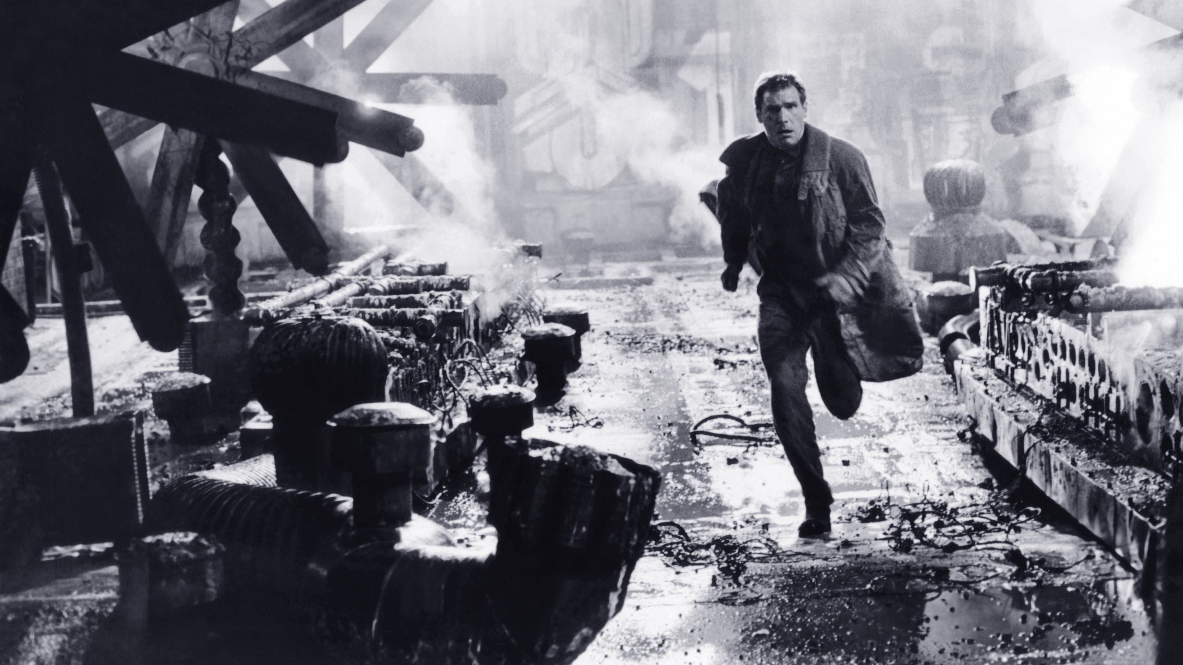 Image du film Blade Runner (Final Cut) aax6ckg7zhdkat1wgd4rourthmljpg