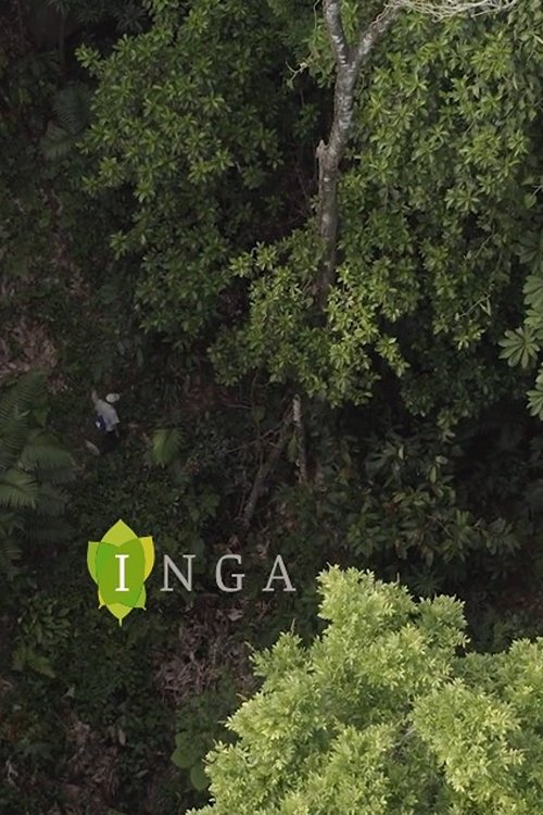 Poster for The Inga Tree Model
