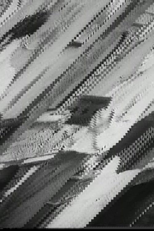 Los apuros de Octavio