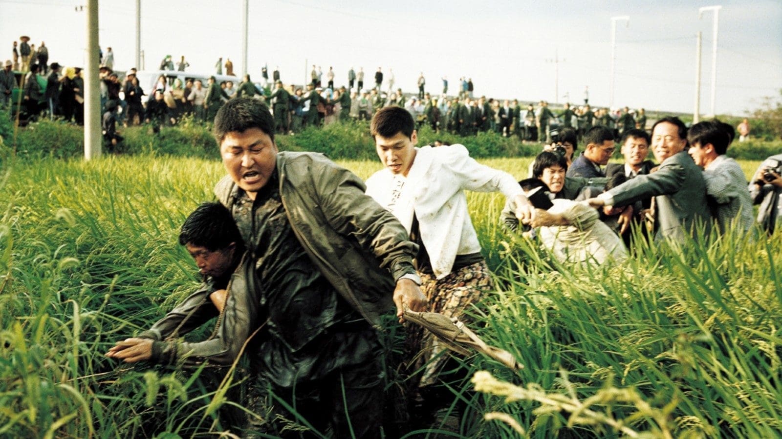 Image du film Memories of Murder ablmwwucozrruianh7qrgasxygyjpg