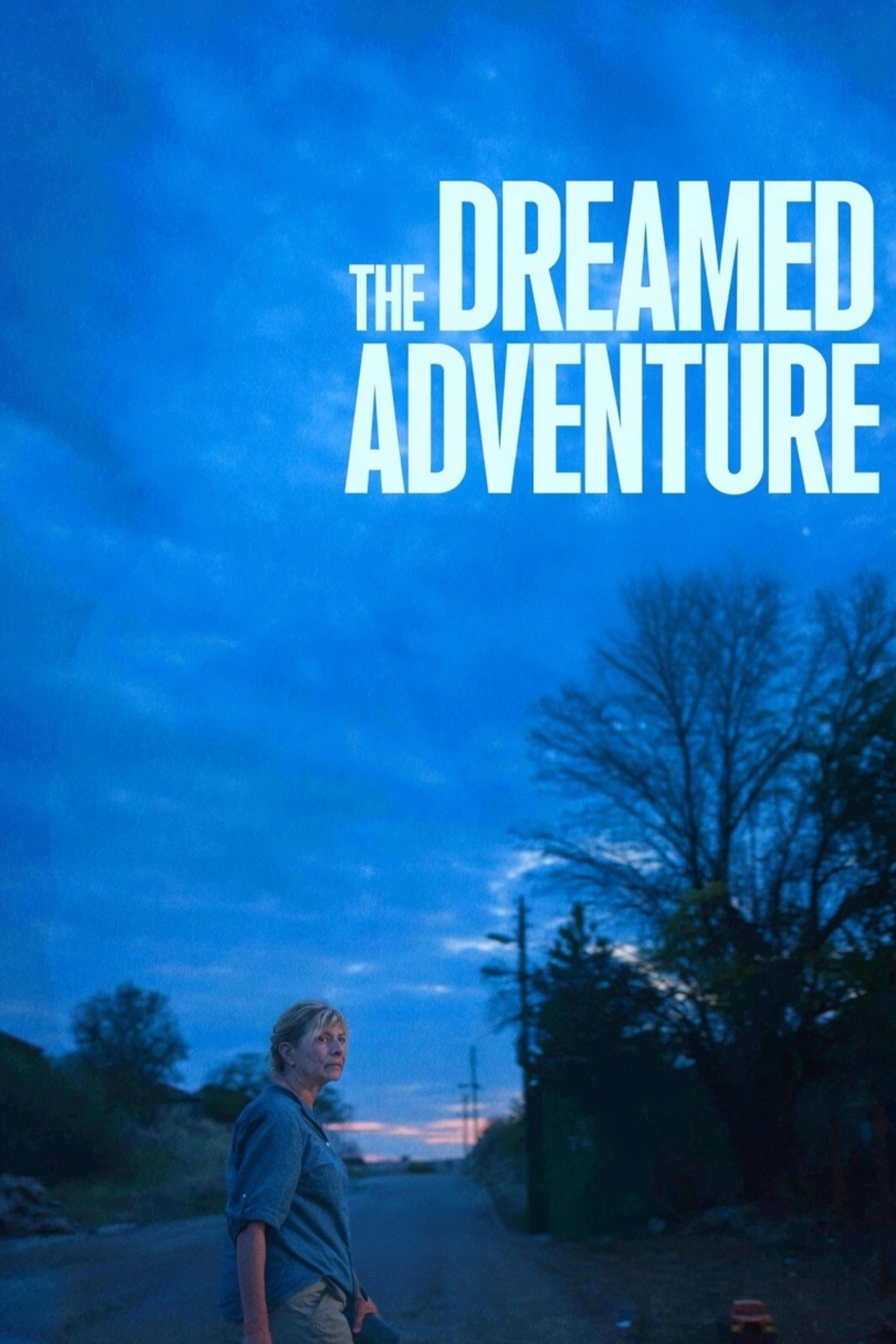 The Dreamed Adventure poster