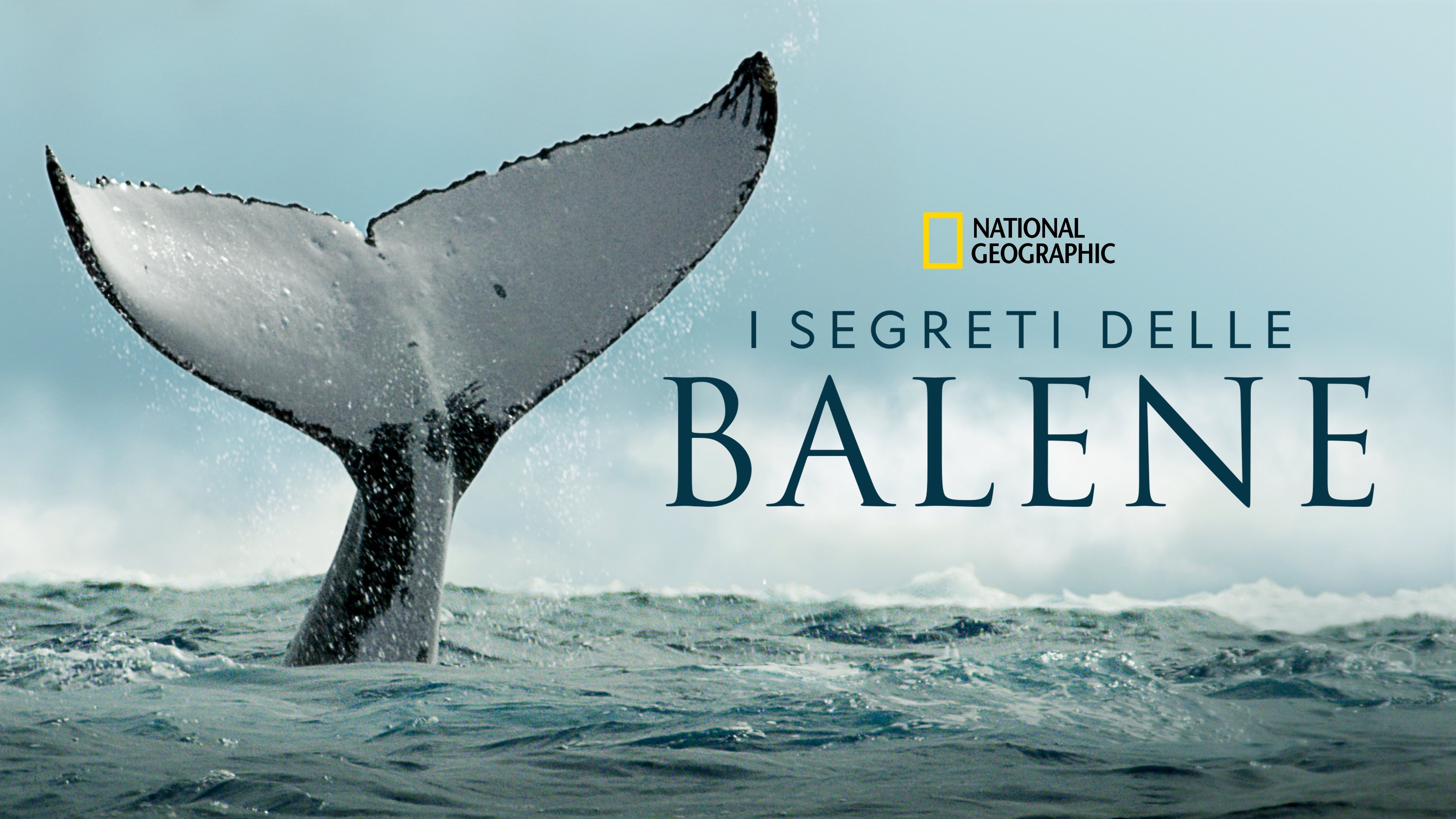 Secrets of the Whales