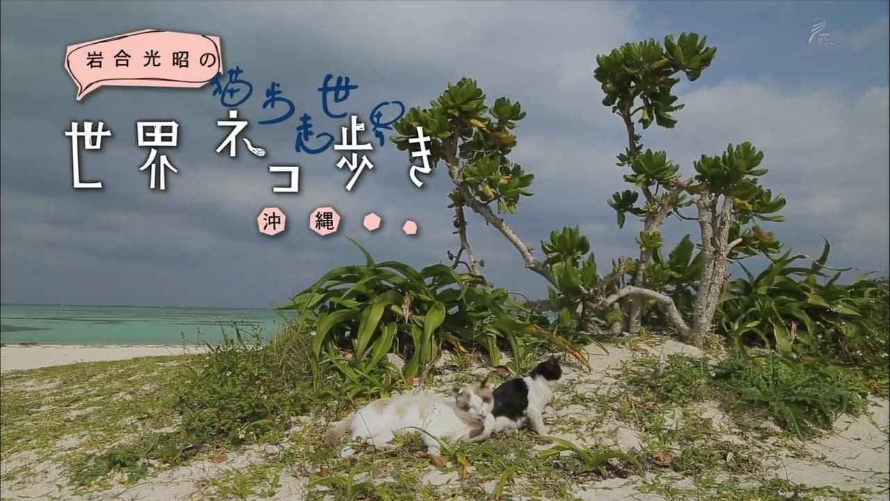 Episode 16