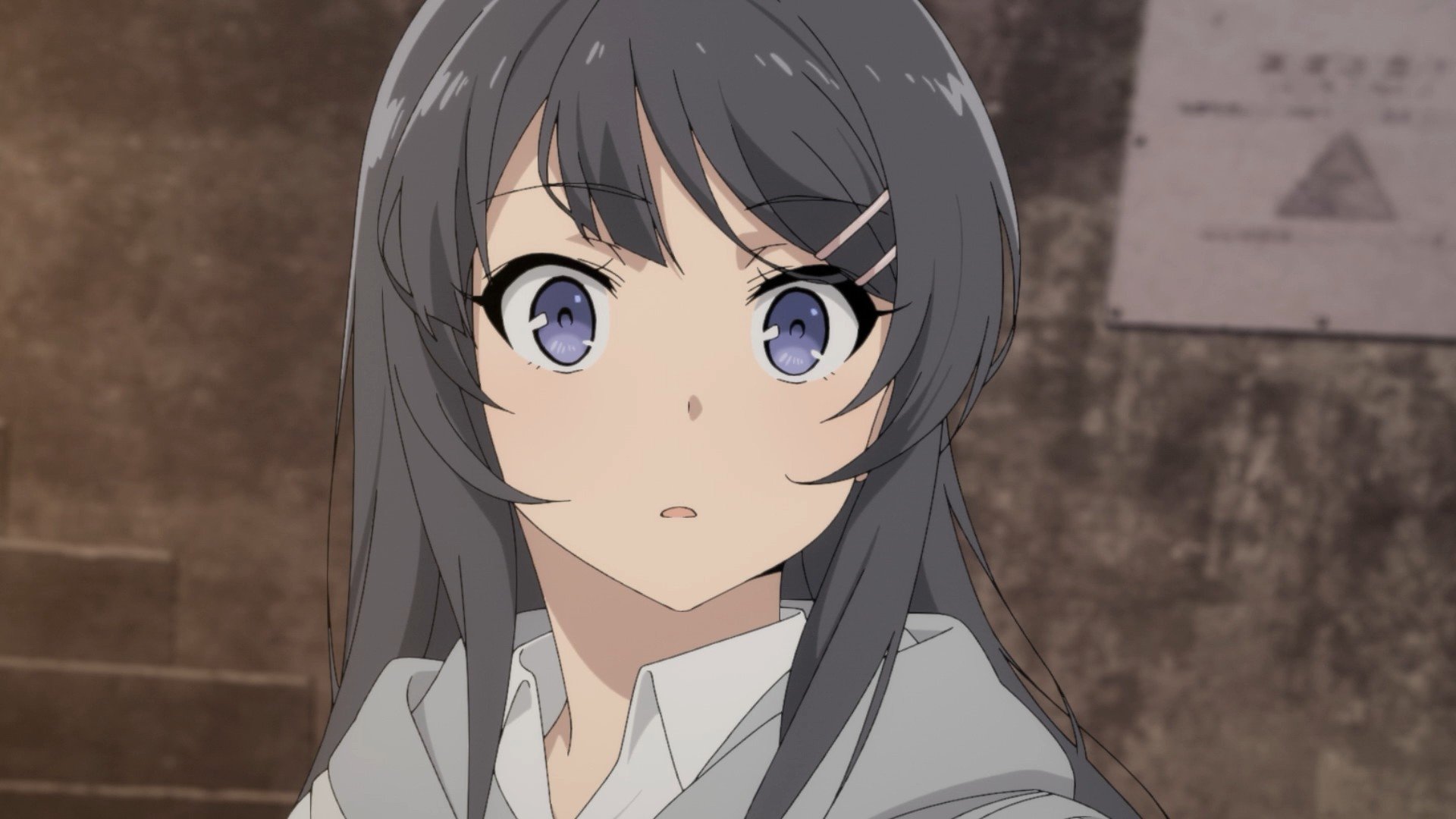 Rascal Does Not Dream Of Bunny Girl Senpai Season 2 Rascal Does Not Dream Of Bunny Girl Senpai Season 2 U - vrogue.co