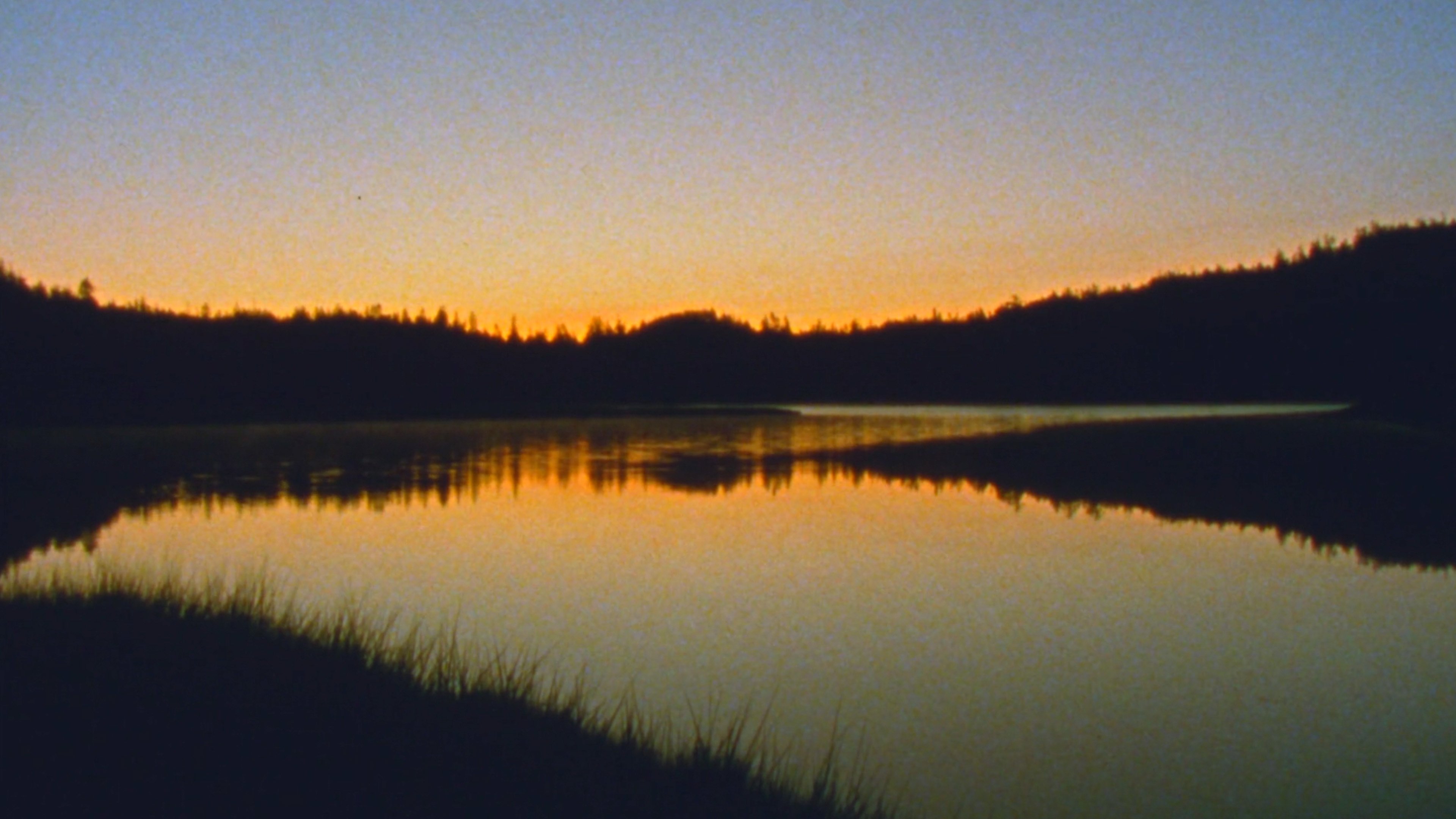 Jasper Beach and The Salt Marsh (2023)